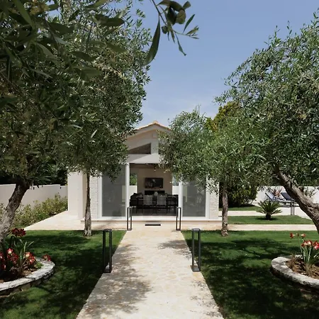 Maria Rose Κασσιόπη
